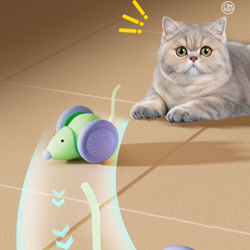 Interior Design Game - Electric Mouse Car Interactive Cat Toy